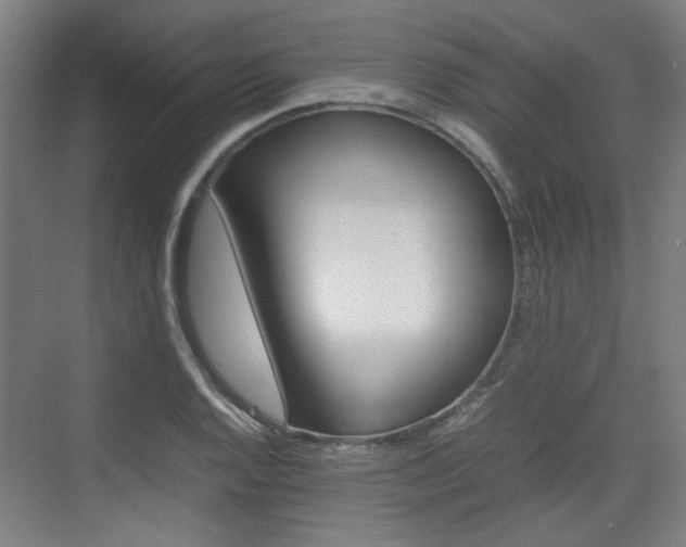 X0000074931128200609010912