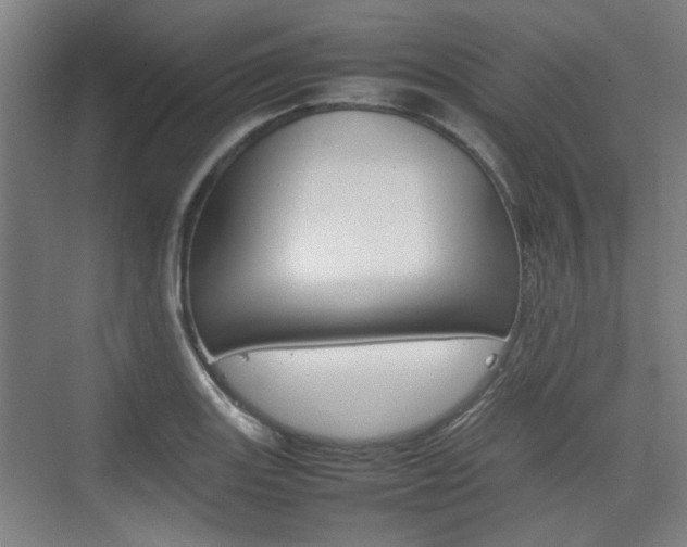 X0000074931131200609010912