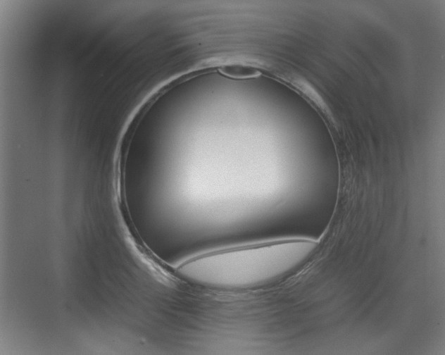 X0000074931132200609010912