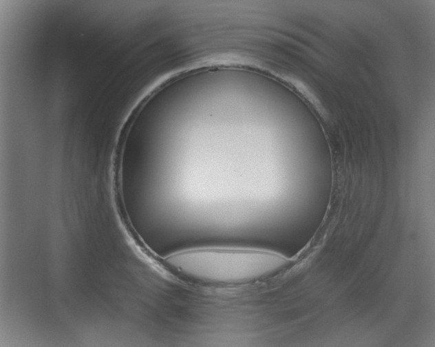 X0000074931134200609010912