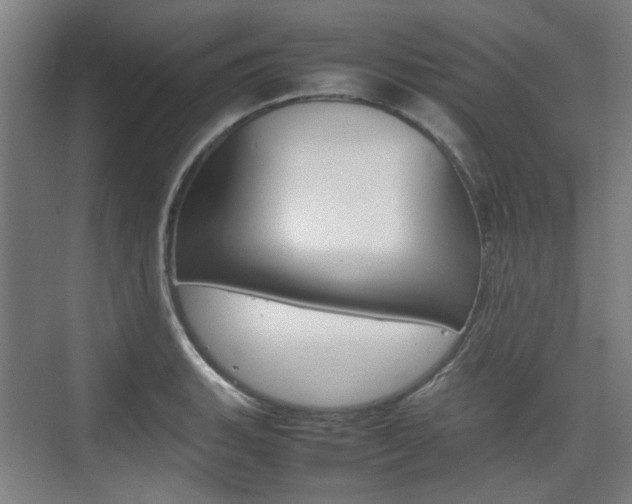 X0000074931135200609010912