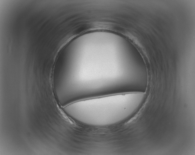 X0000074931137200609010912