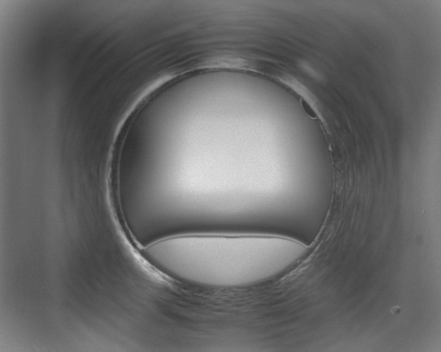 X0000074931139200609010912