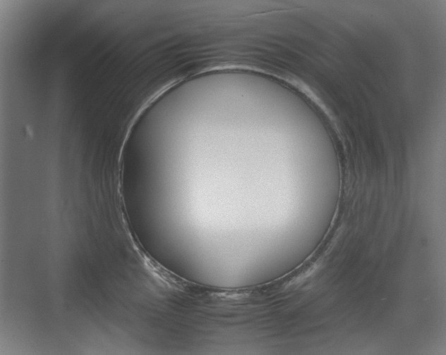 X0000074931145200609010912