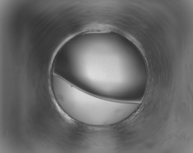 X0000074931152200609010912