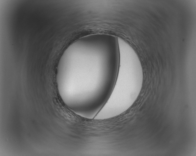 X0000074931153200609010912