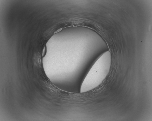 X0000074931155200609010912