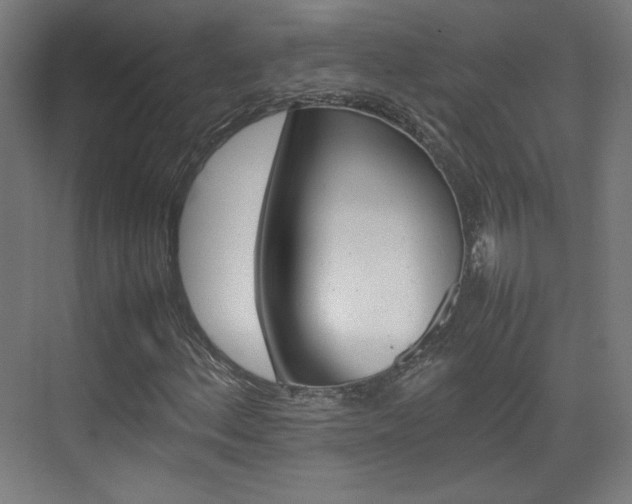 X0000074931156200609010912