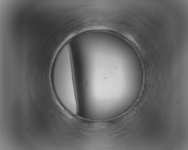 X0000074931181200609010911