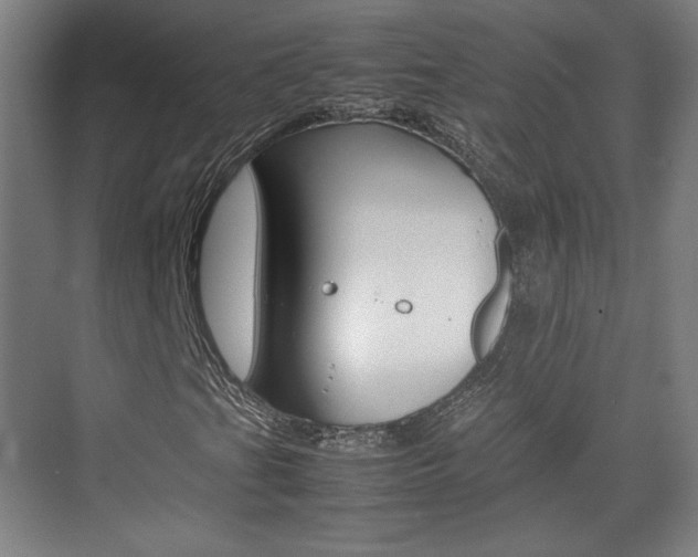 X0000074931201200609010910