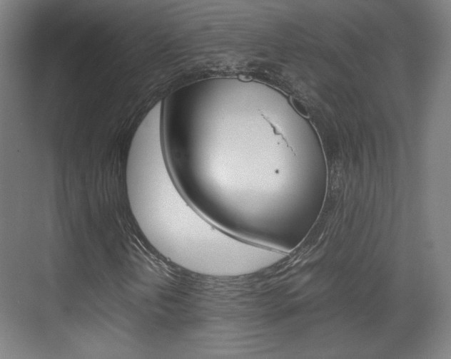 X0000074931202200609010910