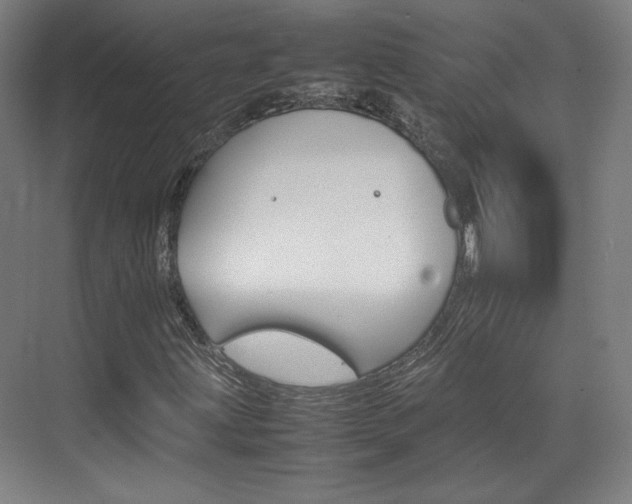 X0000074931203200609010910
