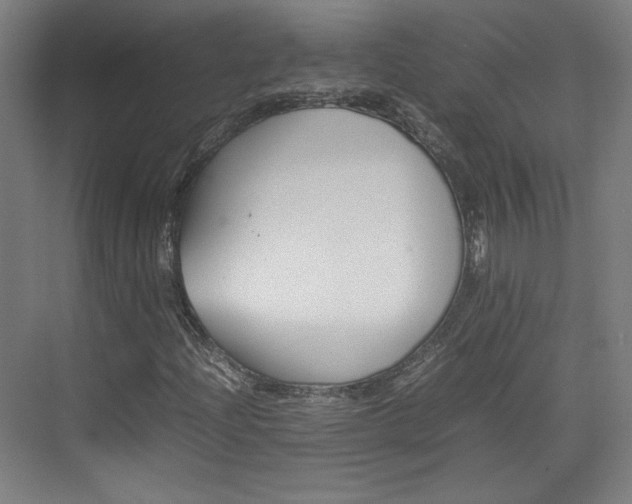 X0000074931204200609010910