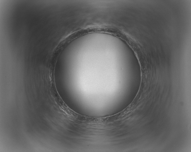 X0000074931206200609010910