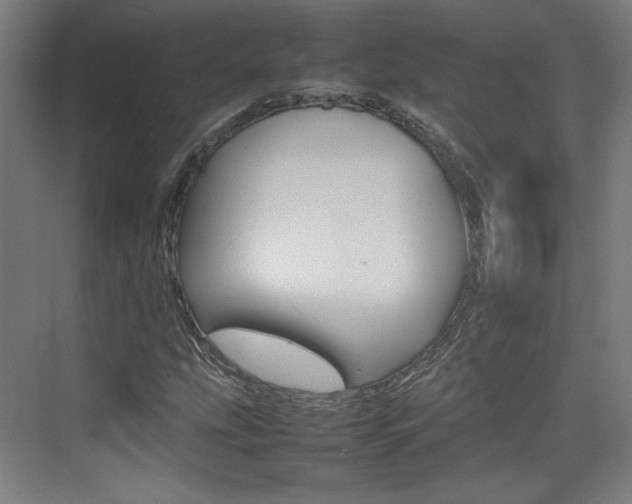 X0000074931207200609010910