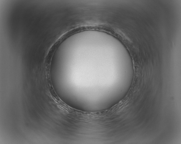 X0000074931208200609010910