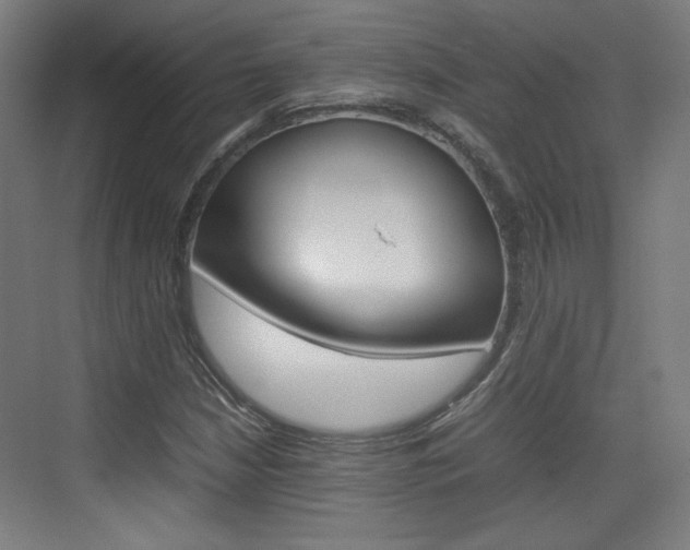X0000074931210200609010910