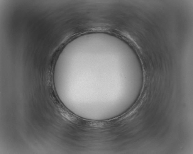 X0000074931211200609010910