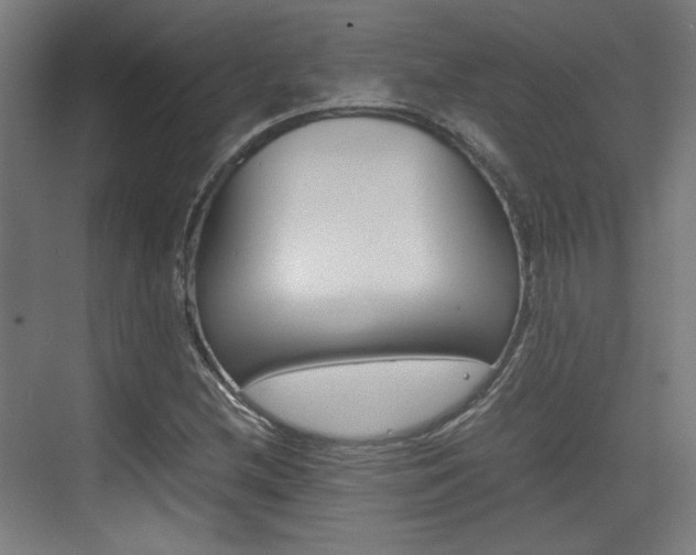 X0000074931212200609010910