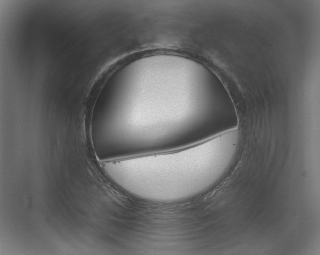 X0000074931214200609010910