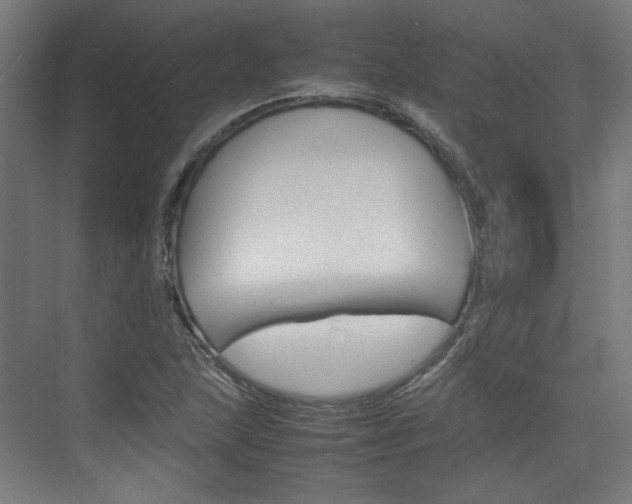 X0000074931215200609010910