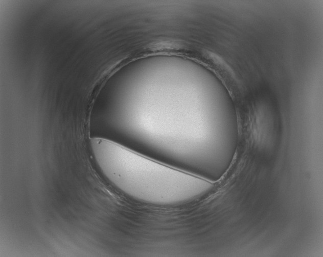 X0000074931217200609010910