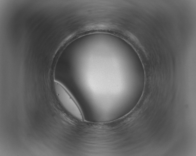 X0000074931218200609010910