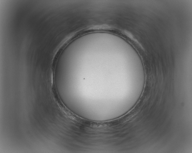 X0000074931221200609010910