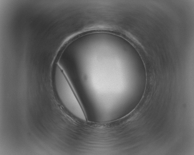 X0000074931222200609010910