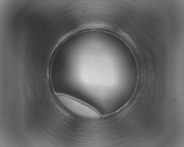 X0000074931226200609010910