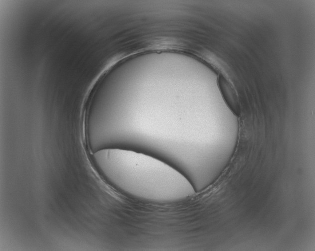 X0000074931227200609010910