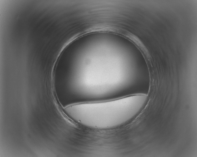 X0000074931242200609010911