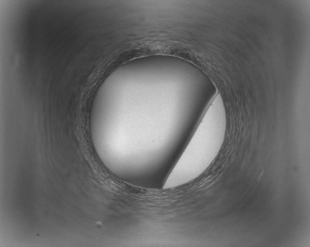 X0000074931249200609010910