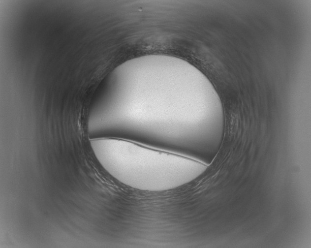 X0000074931250200609010910