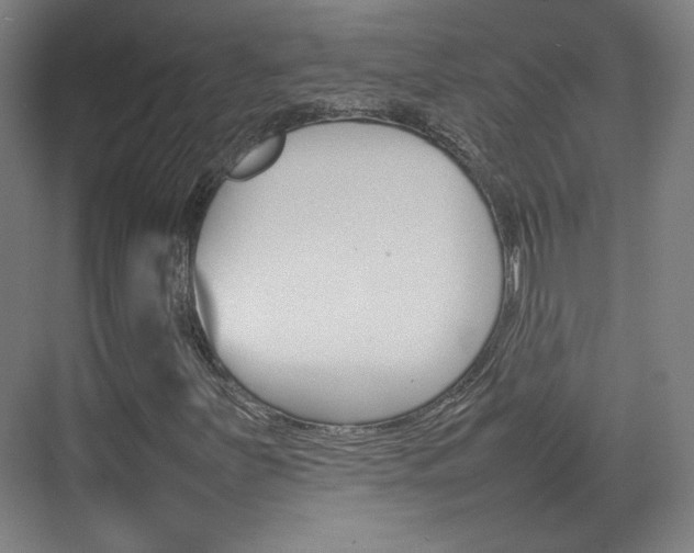 X0000074931251200609010910