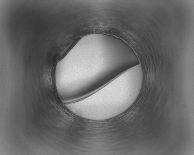 X0000074931252200609010910