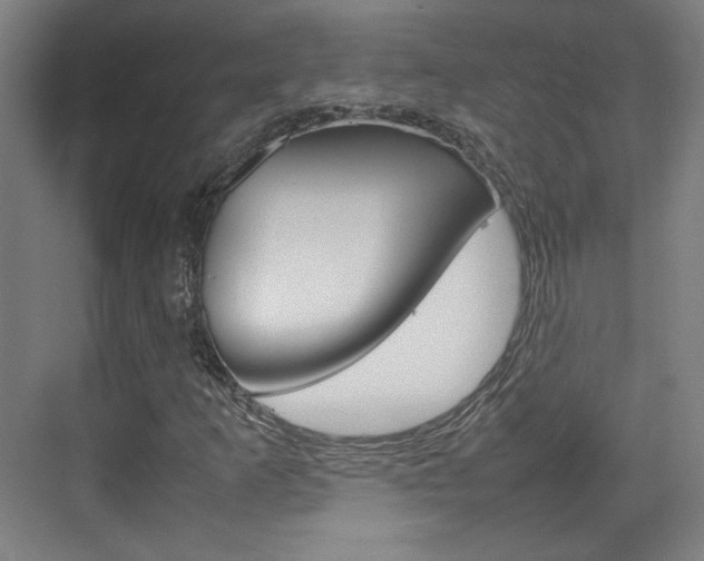 X0000074931253200609010910