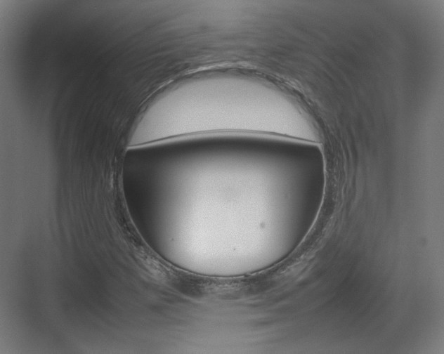 X0000074931257200609010910