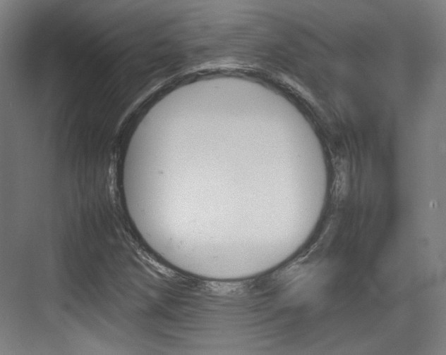 X0000074931258200609010910