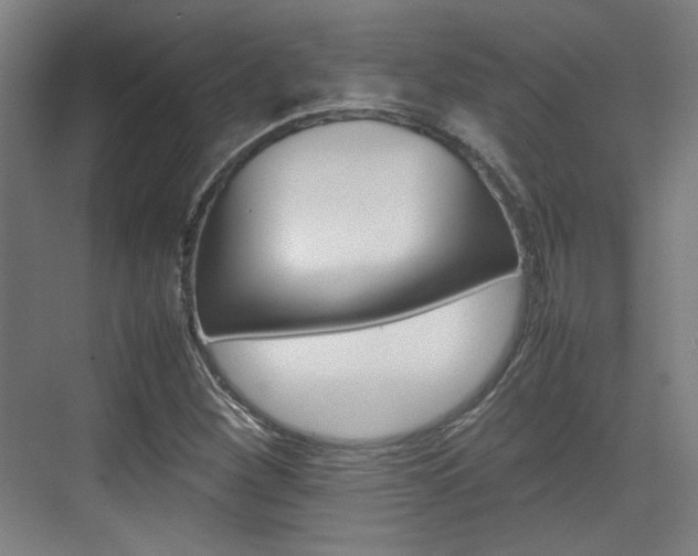 X0000074931260200609010910