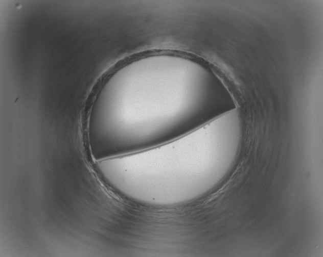X0000074931264200609010910