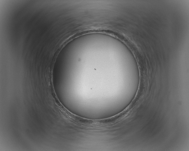 X0000074931265200609010910