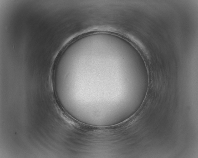 X0000074931272200609010910