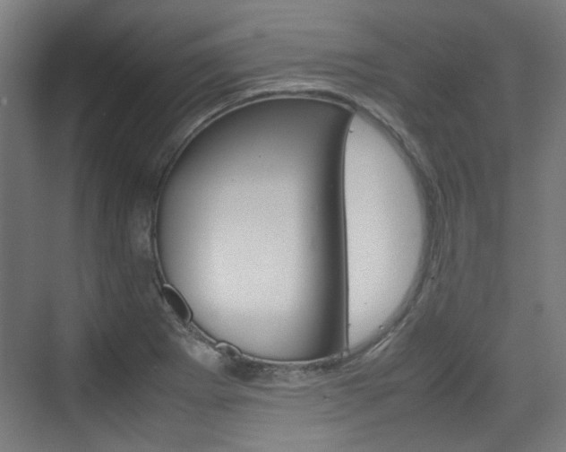 X0000074931273200609010910