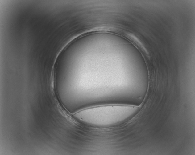 X0000074931276200609010910