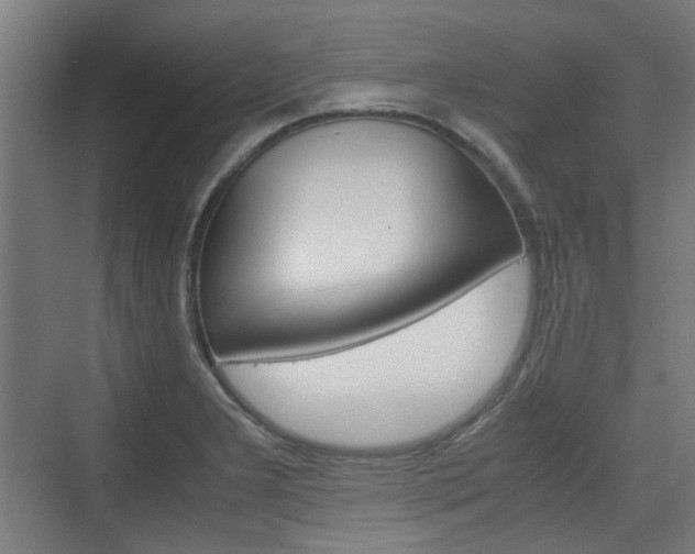 X0000074931277200609010910