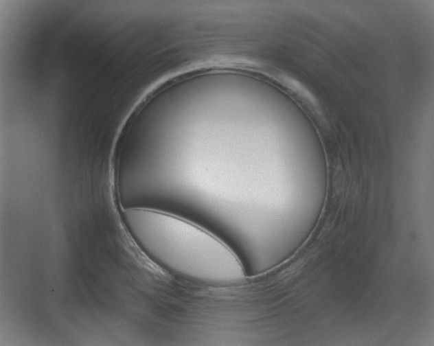 X0000074931280200609010909