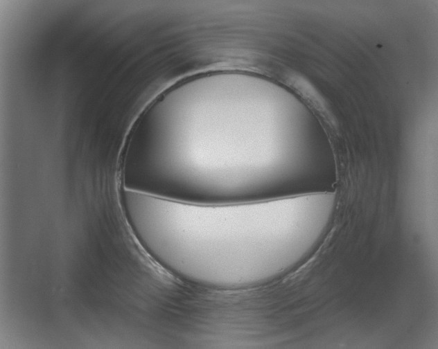 X0000074931284200609010909