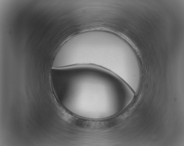 X0000074931289200609010909