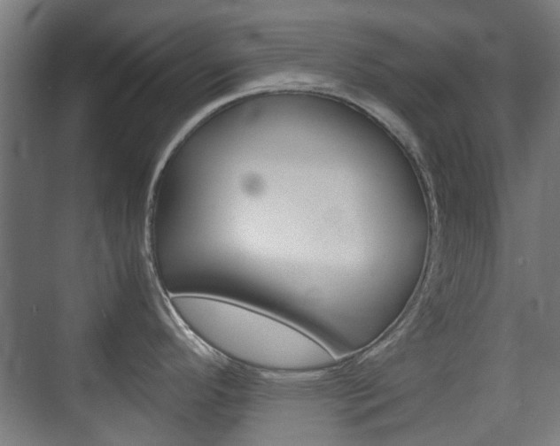 X0000074931296200609010909